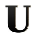 thumbnail image 1 of 3D Acrylic Large Letter Wall Decals Self Home Modern Alphabet Logo Art for Custom DIY Interior Design, 1 of 5
