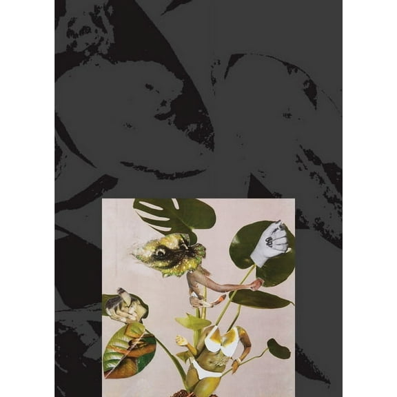 Kandis Williams: A Surface (Paperback)