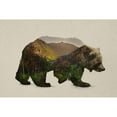 thumbnail image 3 of Davies Babies 18x13 Black Modern Framed Museum Art Print Titled - North American Brown Bear, 3 of 5