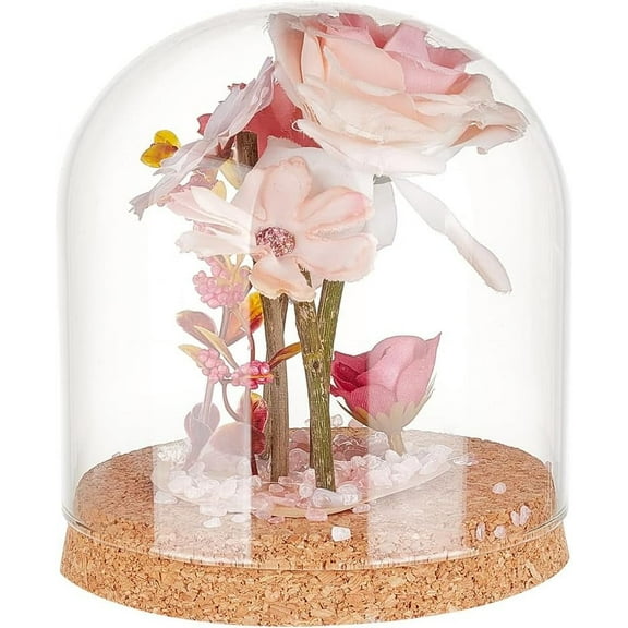 1 pc Glass Dome Cover Decorative Display Case Cloche Bell Jar Terrarium with Cork Base Clear 120x140mm Inner Diameter: 115mm Glass