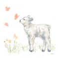 thumbnail image 2 of Pete, Katrina 20x20 White Modern Wood Framed Museum Art Print Titled - Spring Lamb IV, 2 of 4
