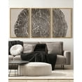 thumbnail image 2 of SHENIFY Farmhouse Vintage Wall Art 16x24in3pcs Natural Framed Set Gray Wood Tree Ring Spirals Nature Abstract Drawings Rustic Modern Art Decor for Living Room Bedroom, 2 of 5