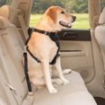 thumbnail image 2 of Cinturón de seguridad universal para coche, resistente y ajustable, de 50 a 90 cm, para perros y gatos, de nailon negro., 2 of 5