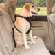 thumbnail image 2 of Cinturón de seguridad universal para coche, resistente y ajustable, de 50 a 90 cm, para perros y gatos, de nailon negro., 2 of 5