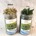 thumbnail image 3 of Miangastore 1 Ensemble de Table de Sable Herbe pour Diorama Plantes de Buisson Très Réalistes Modèle avec Kit Diorama Désert pour Projets de Paysage Miniatures Diy, 3 of 8