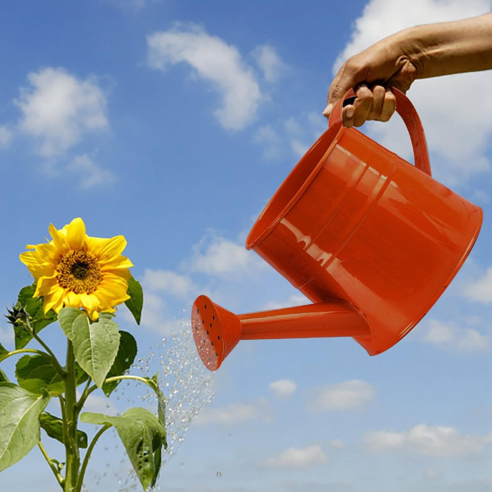 White Watering Can, 1l Metal Garden Watering Can, Vintage Sprinkling Can for Flowers, Indoor & Outdoor Plants, Lawn & Garden Irrigation Tool