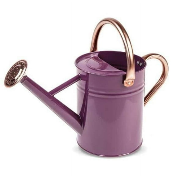 1 gal Watering Can, Violet & Copper