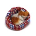thumbnail image 5 of Coolayoung 4 Piezas Gato Durmiendo En Un Criadero Muñeca De Juguete Mini Gatito En La Almohadilla para Mascotas Decoración para Escritorio De Oficina Juguete De Mano para Regalo para Niños Niñas, 5 of 5