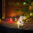 thumbnail image 4 of unbranded 50Ud Protector Para Bombillas LED Flor Transparente Para Decorativas, 4 of 8