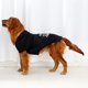 thumbnail image 3 of s 3 piezas suéter para mascotas ropa para perros suéter con capucha ropa para mascotas S, 3 of 5