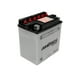 thumbnail image 3 of America 10L-A2 12V 11Ah Bci para Moto, 3 of 4