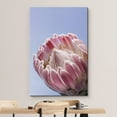thumbnail image 3 of wall26 Canvas Print Wall Art Blooming Pink Rose Flower Cactus Succulent Nature Wilderness Photography Realism Floral Botanical Multicolor for Living Room, Bedroom, Office - 24"x36", 3 of 5