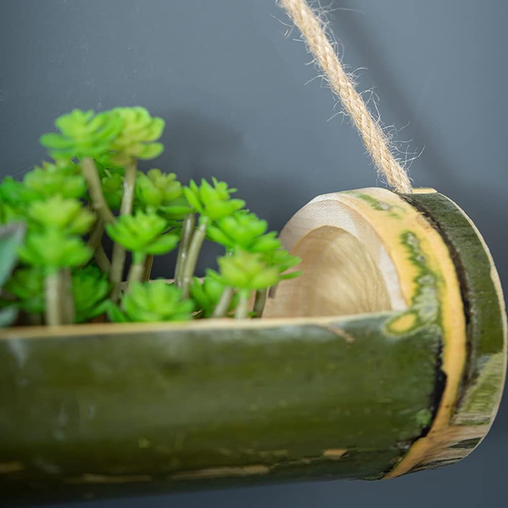 Bamboo Hanging Succulent Planter Hanging Planters for Indoor Plants, 2 Tier Hanging Pot Wall Planters for Indoor Plants, Hanging Plant Holder for Succulent Air Plant Herb (Green)