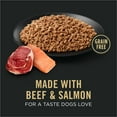 thumbnail image 5 of Purina Pro Plan Grain Free Wet Dog Food, Classic Beef and Salmon Entrée, 13 oz Can, 5 of 11