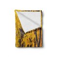 thumbnail image 2 of Nature Soft Flannel Fleece Blanket, Autumn Fall Season Trees Falls Dried Leaves Scenery on Road Path Photo Artwork, Cozy Plush for Indoor and Outdoor Use, 60" x 80", Yellow and Green, by Ambesonne, 2 of 6