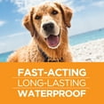 thumbnail image 3 of TevraPet FirstAct Plus, Flea and Tick Prevention for Small Dogs 5-22 lbs, 3 Monthly Treatments, 3 of 8
