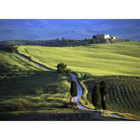Looking Down Road At Dusk To Old Farmhouse On Hill Top Near Village Of Pienza Canvas Art - Ian Cumming  Design Pics (16 x