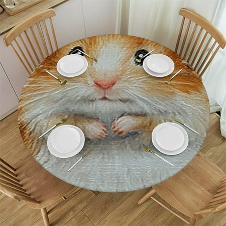 

Autua Hamster Cute Painting Round Tablecloth - Stain-Resistant & Washable - Ideal for Indoor and Outdoor Use - Waterproof for Picnic Dining Kitchen Farmhouse - Multiple Sizes Available 46 -50