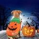 thumbnail image 3 of Disfraz de mascota Disfraz de perro de calabaza de Halloween Chaqueta Suéter Gato Vestido de chihuahua Fiesta Disfraz de Pascua de Halloween Código L brillar  Electrónica, 3 of 5
