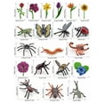 CaiTeLin 2024 Black and Friday and Deals Children's Simulation World Insect Plant Set Model Hand