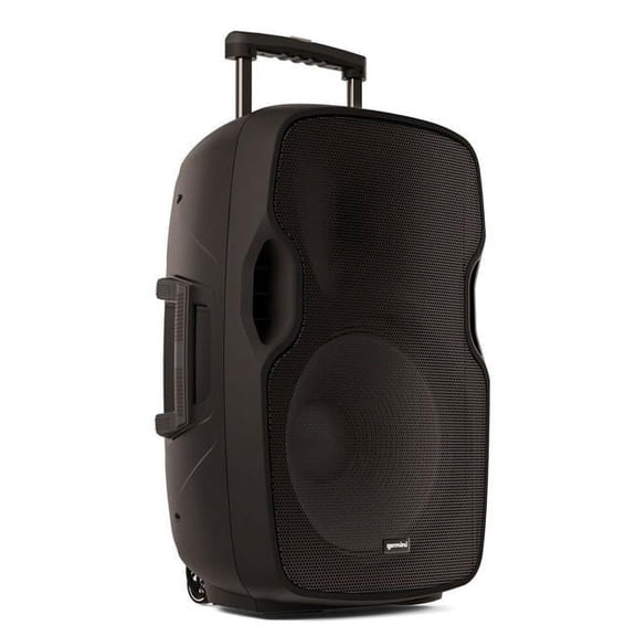 15 in. Portable 500W Wireless PA Loudspeaker Bluetooth Speaker