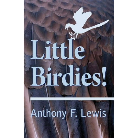 Little Birdies! (Paperback)