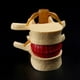 thumbnail image 2 of 4X Modelo de Vértebras Lumbares, Columna Anatómica, Hernia de Disco Lumbar, Herramienta de Enseñanza de Anatomía, Modelo de Vértebras Lumbares, 2 of 5