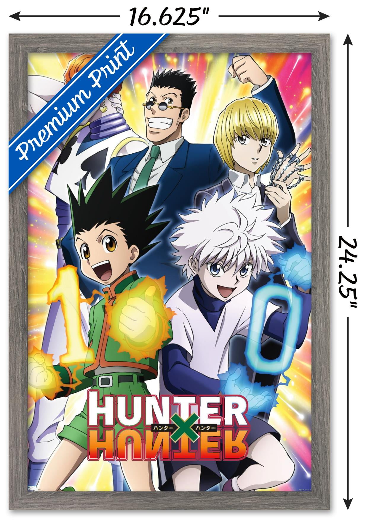 Hunter X Hunter Season 2 & 3 Poster