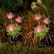 thumbnail image 5 of Luces solares exteriores para patio de jardín | Enchufe de tierra de linterna de PVC decorativo | LED blanco cálido | Resistente al agua IP65 a la intemperie | Encendido/apagado automático | 1, 5 of 6
