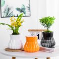 thumbnail image 2 of Self-watering Flowerpot with Self-absorbing Cotton Rope Creative Plastic Plant Pot Indoor Planter with Inner Cup for Succulent Cactus Herb African Violets, 2 of 8