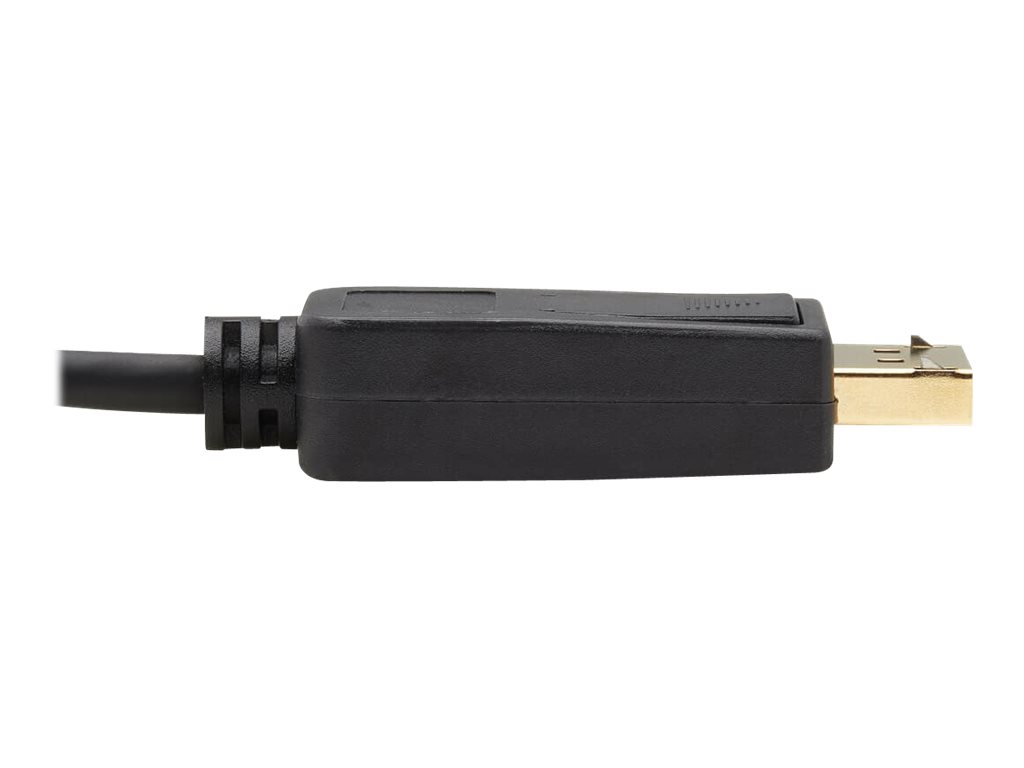 Tripp Lite USB C to DisplayPort Adapter Cable Bi-Directional 4K M/M 10ft