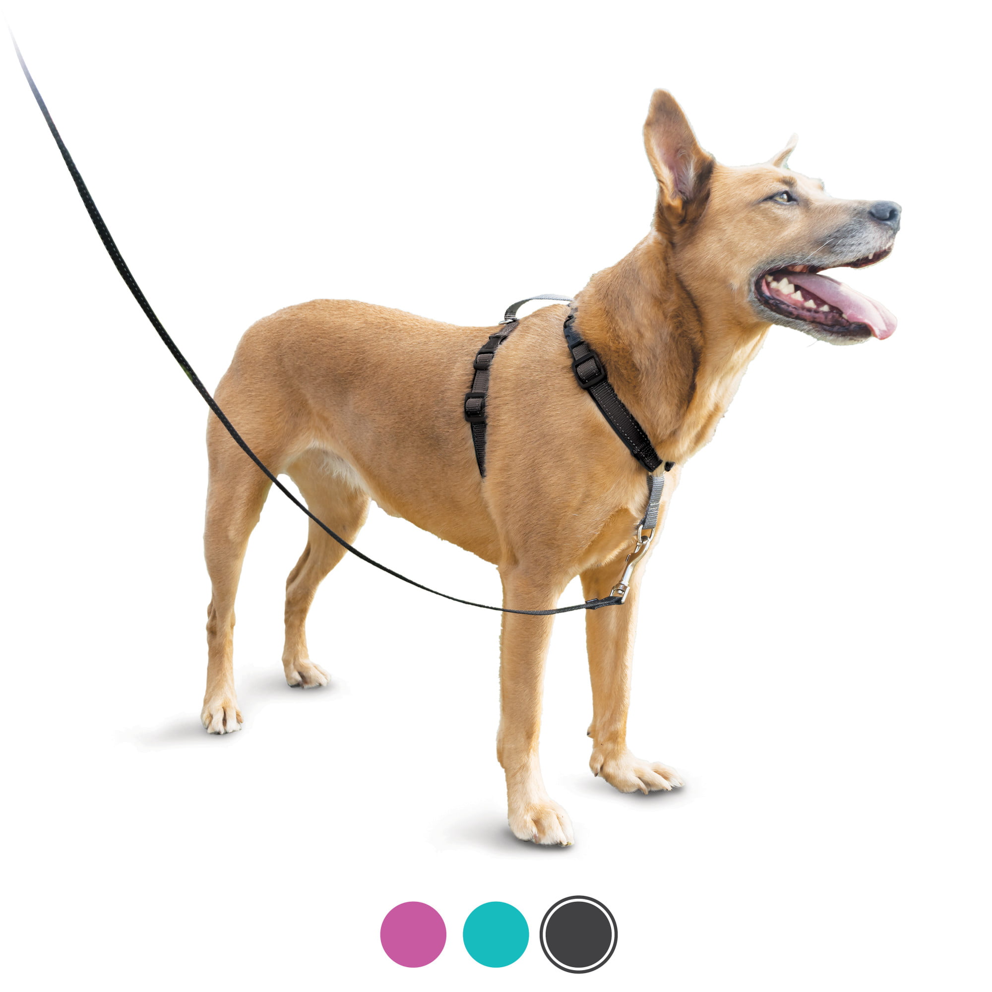 Large Dog Leash Harness Adjustable Pet Safe Control Training Walking Collar 