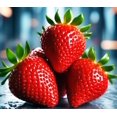 thumbnail image 2 of HJADGG Fraise Fresca Fruits Rouges Persistants pour la Plantation Non OGM, 2 of 8