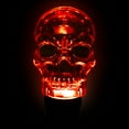 View all media