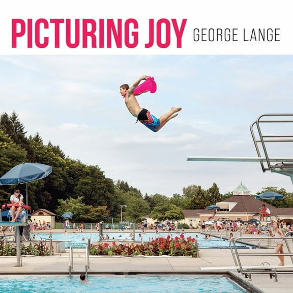 Picturing Joy: Stories of Connection (Hardcover)