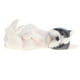 thumbnail image 3 of 2 Piezas De Plástico Animal Niño Juguete Mascota Perro Modelo Coleccionables, 3 of 9