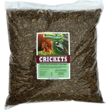 Dried Crickets- 5 lbs Chickens -Wild Birds-Fish,Bearded Dragons