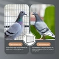 thumbnail image 2 of LOVEVER Porte d'Oiseau en Acier Inoxydable Cage Bar Porte d'Entrée pour Pigeons, 2 of 6
