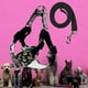 thumbnail image 4 of Juego de arnés y correa para perro, correa de pecho reflectante, cómodo chaleco para Talla M Zulema Arnés de chaleco para cachorros, 4 of 8