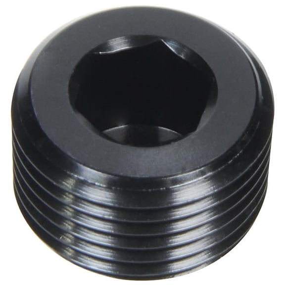 Allstar Performance ALL49800 Allen Plugs NPT 1/16in 2pk