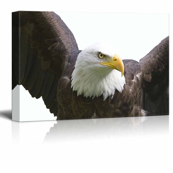 wall26 - Canvas Wall Art - an Eagle - Giclee Print Gallery Wrap Modern Home Art Ready to Hang - 32" x 48"