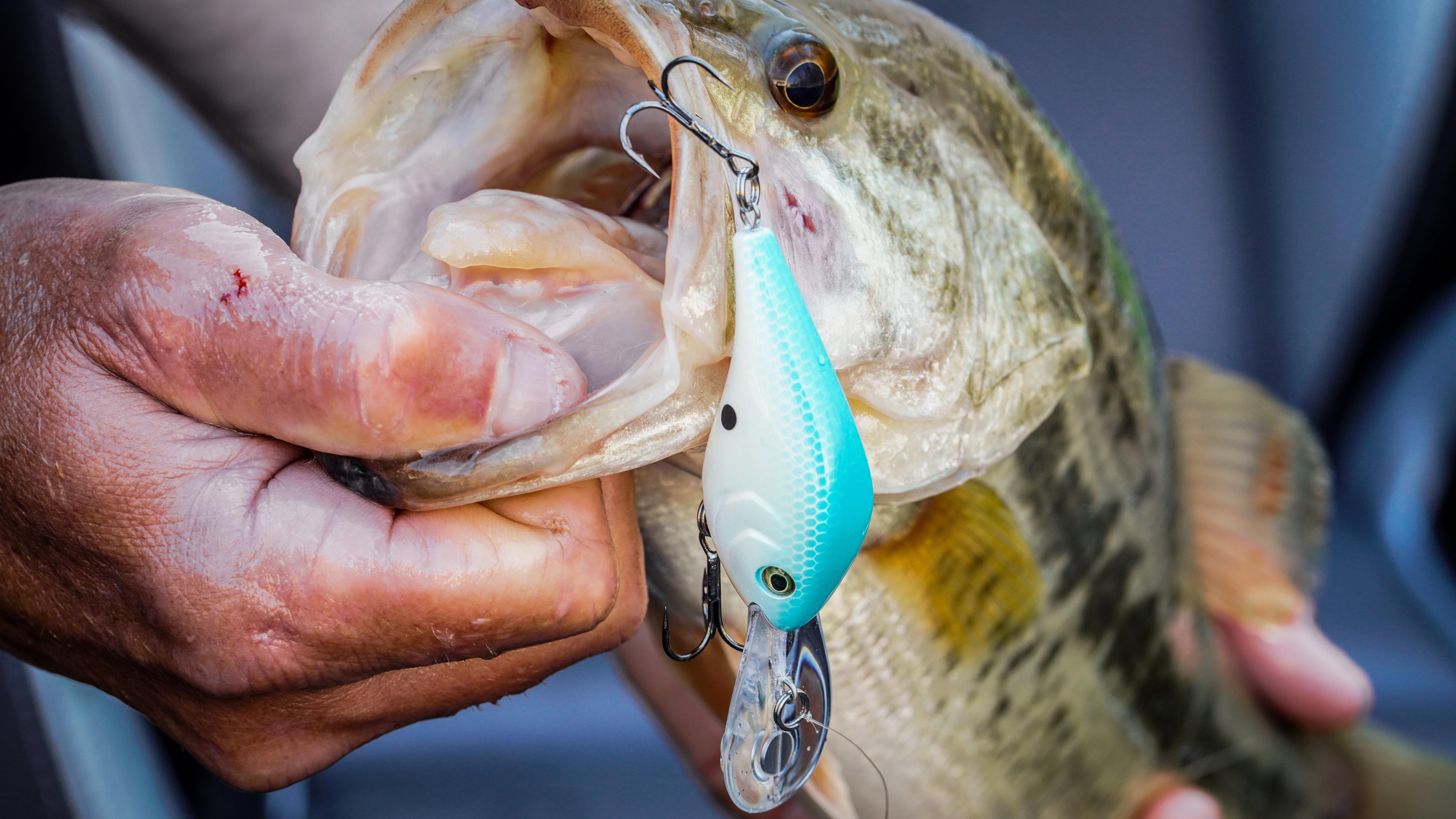 Berkley Dredger Fishing Lure, Boiled Crawl, 5/8 oz