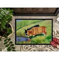 thumbnail image 3 of Carolines Treasures 7292MAT Tapis Intérieur Extérieur 18 x 27 Po. Corgi, 3 of 4