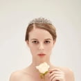 thumbnail image 2 of TIARA CORONA TOCADO PEINETA NOVIA XV BODA COMUNIÓN PRINCESA NIÑA M0002 GENÉRICA CUSTOM AURORA, 2 of 2