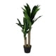 thumbnail image 1 of planta artificial de polietileno dracena 90 x 30 cm con maceta de cemento, 1 of 3