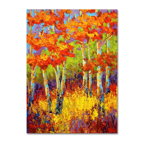 Trademark Fine Art 'Evening Glow' Canvas Art by Marion Rose