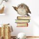 thumbnail image 4 of Funny Animal Wall Decals DIY Window Stickers Peel & Stick Wall Art, 4 of 5