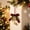 Red93, variant on WDOBM Christmas Decorative Bows, Christmas Bowknot Bells Pendant Hanging Ornament, Christmas Tree Bow, Hanging Christmas Ornaments for Home Decor Indoor