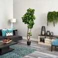 thumbnail image 4 of Nearly Natural 78" Fiddle Leaf Artificial Tree (Real Touch), 4 of 4