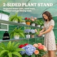 thumbnail image 4 of Greenhouse, 4 of 7